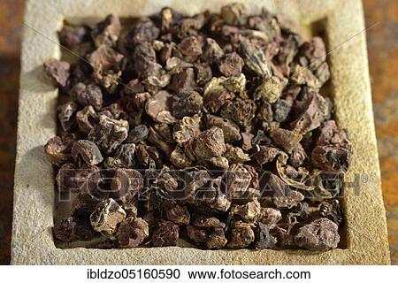 Potentilla erecta (Potentilla tormentilla) dried roots View Large Photo Image Stock Image - Potentilla erecta (Potentilla tormentilla) dried roots. Fotosearch