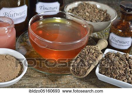 Potentilla erecta (Potentilla tormentilla) ointment, tea, roots crushed and ground View Large Photo Image Stock Image - Potentilla erecta (Potentilla tormentilla) ointment, tea, roots crushed and ground. Fotosearch