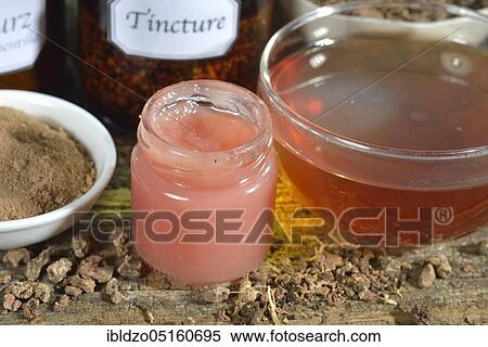 Stock Photography - Potentilla erecta (Potentilla tormentilla) ointment, tea, roots crushed and ground. Fotosearch