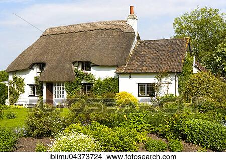 Pretty old thatched cottage and garden, Cherhill, Wiltshire, England, UK View Large Photo Image Picture - Pretty old thatched cottage and garden, Cherhill, Wiltshire, England, UK. Fotosearch