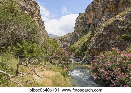 Preveli, Crete, Greece, Europe View Large Photo Image Stock Image - Preveli, Crete, Greece, Europe. Fotosearch