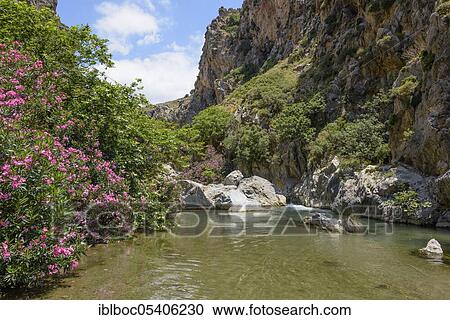 Preveli, Crete, Greece, Europe View Large Photo Image Stock Image - Preveli, Crete, Greece, Europe. Fotosearch