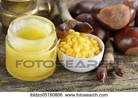 Production Chestnut bud ointment (Aesculus hippocastanum), Chestnut bud ointment View Large Photo Image Stock Photograph - Production Chestnut bud ointment (Aesculus hippocastanum), Chestnut bud ointment. Fotosearch