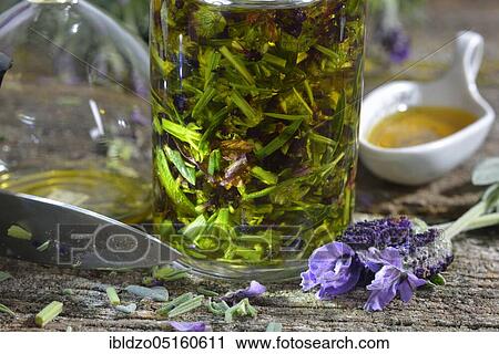 Production Lavender oil (Lavandula angustifolia), Lavender oil View Large Photo Image Stock Image - Production Lavender oil (Lavandula angustifolia), Lavender oil. Fotosearch