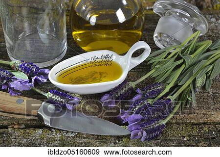 Production Lavender oil (Lavandula angustifolia), Lavender oil View Large Photo Image Stock Photo - Production Lavender oil (Lavandula angustifolia), Lavender oil. Fotosearch