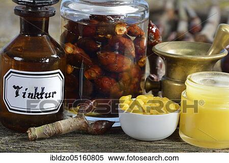 Production of chestnut bud tincture and chestnut bud ointment (Aesculus hippocastanum), chestnut bud tincture, chestnut bud ointment View Large Photo Image Stock Photography - Production of chestnut bud tincture and chestnut bud ointment (Aesculus hippocastanum), chestnut bud tincture, chestnut bud ointment. Fotosearch