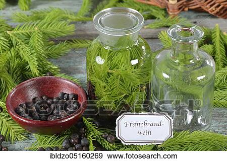 Production of french brandy, spruce branches, juniper berries, spirit View Large Photo Image Stock Photo - Production of french brandy, spruce branches, juniper berries, spirit. Fotosearch