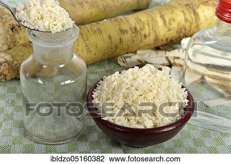 Production of horseradish tincture (Cochlearia armoracia), horseradish View Large Photo Image Stock Image - Production of horseradish tincture (Cochlearia armoracia), horseradish. Fotosearch