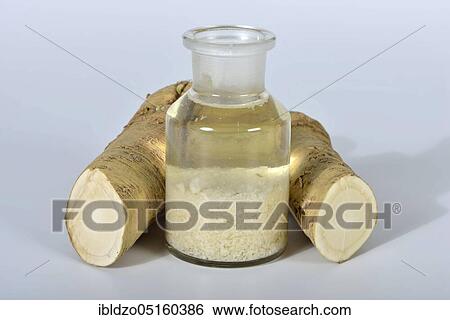 Production of horseradish tincture (Cochlearia armoracia), horseradish View Large Photo Image Stock Photograph - Production of horseradish tincture (Cochlearia armoracia), horseradish. Fotosearch