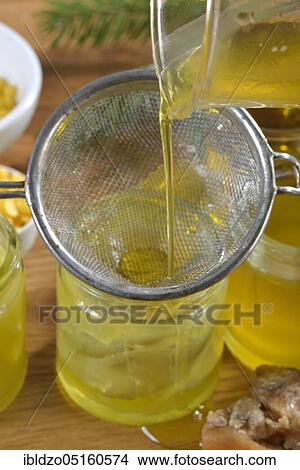 Production of spruce resin ointment (Picea abies) View Large Photo Image Picture - Production of spruce resin ointment (Picea abies). Fotosearch