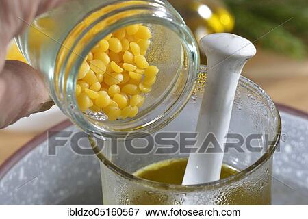 Production of spruce resin ointment, water bath (Picea abies) View Large Photo Image Stock Photo - Production of spruce resin ointment, water bath (Picea abies). Fotosearch