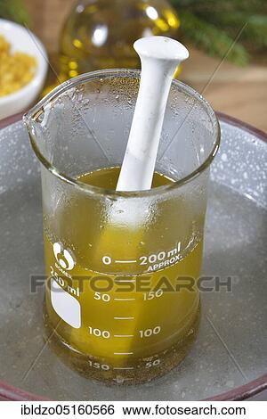 Stock Photograph - Production of spruce resin ointment, water bath (Picea abies). Fotosearch