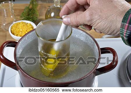 Production of spruce resin ointment, water bath (Picea abies) View Large Photo Image Stock Photography - Production of spruce resin ointment, water bath (Picea abies). Fotosearch