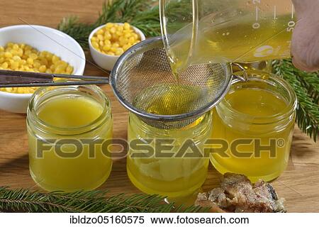 Production of spruce resin ointment (Picea abies) View Large Photo Image Stock Photography - Production of spruce resin ointment (Picea abies). Fotosearch
