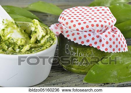 Production of wild garlic butter (Allium ursinum), wild garlic butter, wild garlic pesto View Large Photo Image Stock Photograph - Production of wild garlic butter (Allium ursinum), wild garlic butter, wild garlic pesto. Fotosearch