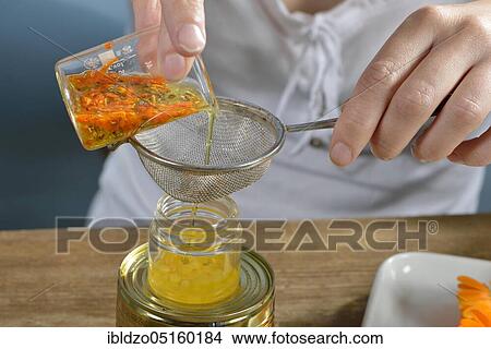 Production of yarrow and marigold ointment (Calendula officinalis) (Achillea millefolium) / View Large Photo Image Picture - Production of yarrow and marigold ointment (Calendula officinalis) (Achillea millefolium) /. Fotosearch