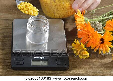 Production of yarrow and marigold ointment (Calendula officinalis) (Achillea millefolium) / View Large Photo Image Stock Image - Production of yarrow and marigold ointment (Calendula officinalis) (Achillea millefolium) /. Fotosearch