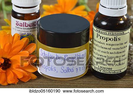 Stock Image - Production of yarrow and marigold ointment (Calendula officinalis) (Achillea millefolium) /. Fotosearch