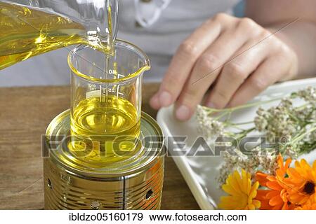 Production of yarrow and marigold ointment (Calendula officinalis) (Achillea millefolium) / View Large Photo Image Stock Photo - Production of yarrow and marigold ointment (Calendula officinalis) (Achillea millefolium) /. Fotosearch