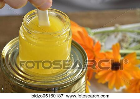 Stock Photo - Production of yarrow and marigold ointment (Calendula officinalis) (Achillea millefolium) /. Fotosearch