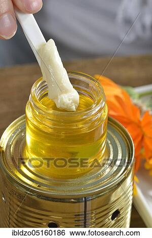 Stock Photograph - Production of yarrow and marigold ointment (Calendula officinalis) (Achillea millefolium) /. Fotosearch