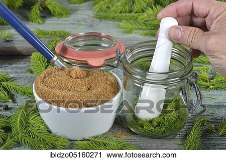 Production spruce tip honey, Bauner sugar, spruce branches View Large Photo Image Stock Image - Production spruce tip honey, Bauner sugar, spruce branches. Fotosearch
