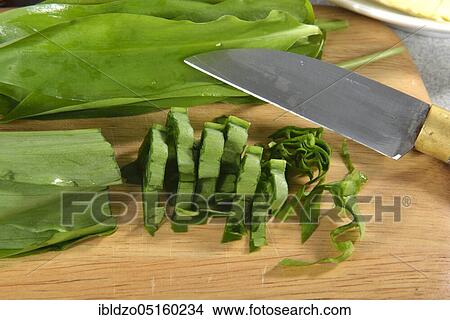 Picture - Production wild garlic butter (Allium ursinum), wild garlic butter. Fotosearch