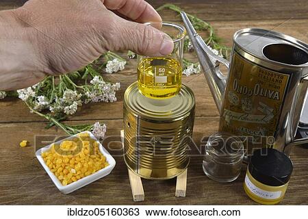 Production Yarrow and marigold ointment (Calendula officinalis) Yarrow, marigold (Achillea millefolium) (Millefolii flos) View Large Photo Image Stock Image - Production Yarrow and marigold ointment (Calendula officinalis) Yarrow, marigold (Achillea millefolium) (Millefolii flos). Fotosearch
