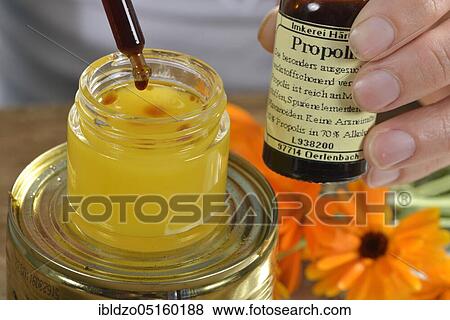 Production Yarrow and marigold ointment (Calendula officinalis) (Achillea millefolium), propolis View Large Photo Image Stock Photo - Production Yarrow and marigold ointment (Calendula officinalis) (Achillea millefolium), propolis. Fotosearch