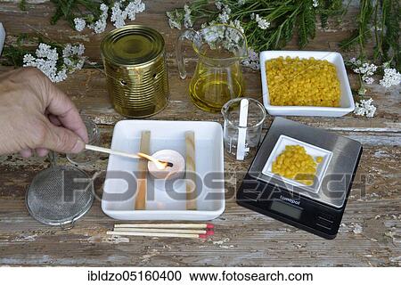 Production Yarrow ointment (Achillea millefolium), Yarrow ointment View Large Photo Image Stock Image - Production Yarrow ointment (Achillea millefolium), Yarrow ointment. Fotosearch