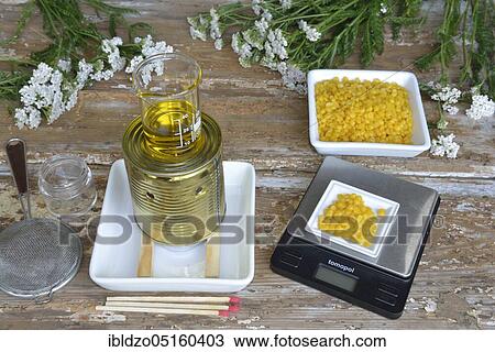Stock Image - Production Yarrow ointment (Achillea millefolium), Yarrow ointment. Fotosearch