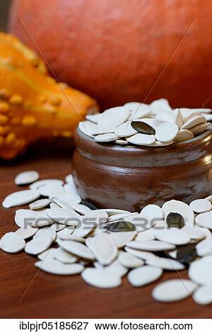 Pumpkincores ( Cucurbita) View Large Photo Image Stock Photo - Pumpkincores ( Cucurbita). Fotosearch