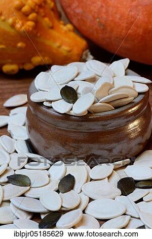 Pumpkincores ( Cucurbita) View Large Photo Image Stock Photo - Pumpkincores ( Cucurbita). Fotosearch