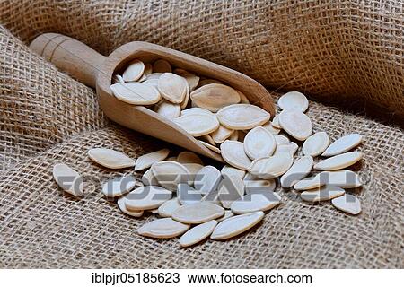 Pumpkincores ( Cucurbita) with wooden shovel, unpeeled View Large Photo Image Stock Image - Pumpkincores ( Cucurbita) with wooden shovel, unpeeled. Fotosearch