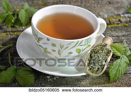 Raspberry and blackberry leaf tea (Rubus idaeus) (Rubus fruticosus), raspberry leaf tea, blackberry leaf tea View Large Photo Image Stock Photography - Raspberry and blackberry leaf tea (Rubus idaeus) (Rubus fruticosus), raspberry leaf tea, blackberry leaf tea. Fotosearch