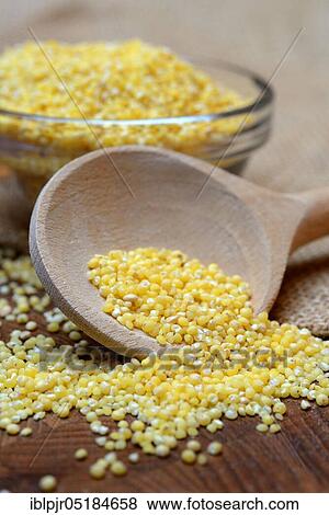 Real millet ( Panicum miliaceum) View Large Photo Image Stock Photo - Real millet ( Panicum miliaceum). Fotosearch