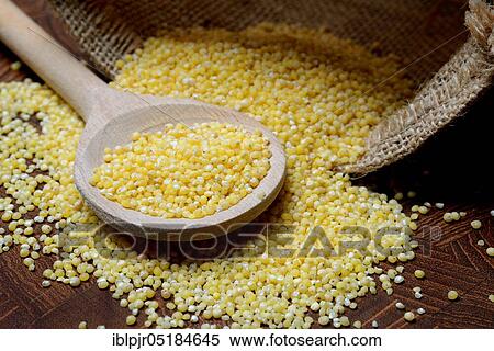 Real millet ( Panicum miliaceum) View Large Photo Image Stock Photography - Real millet ( Panicum miliaceum). Fotosearch