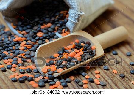 Red and green Lentils ( Lens culinaris) with wooden shovel View Large Photo Image Stock Image - Red and green Lentils ( Lens culinaris) with wooden shovel. Fotosearch