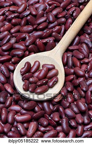 Red beans, kidney bean in cooking spoon View Large Photo Image Stock Image - Red beans, kidney bean in cooking spoon. Fotosearch