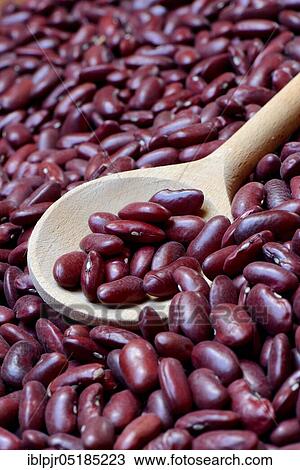 Red beans, kidney bean in cooking spoon View Large Photo Image Stock Image - Red beans, kidney bean in cooking spoon. Fotosearch