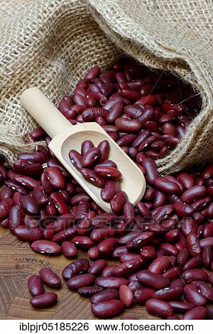 Stock Photograph - Red beans, kidney bean in shovel. Fotosearch