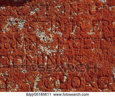 Red lichen on gravestone, Splügen, Switzerland, Europe View Large Photo Image Stock Image - Red lichen on gravestone, Splügen, Switzerland, Europe. Fotosearch
