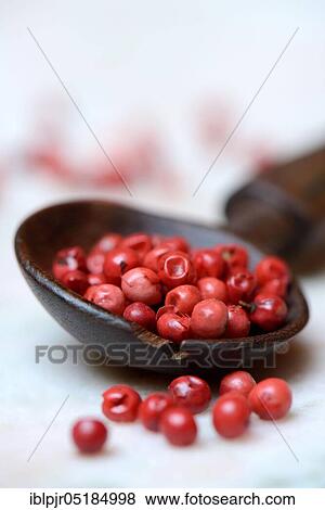 Red pepper ( Schinus terebinthifolius) Pink pepper View Large Photo Image Stock Photo - Red pepper ( Schinus terebinthifolius) Pink pepper. Fotosearch