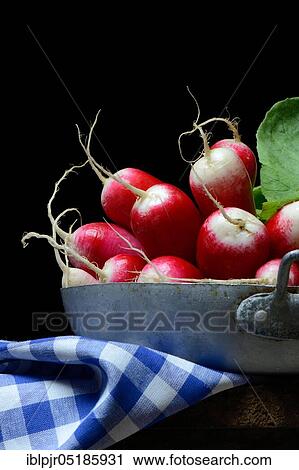 Red-white Red Radish ( Raphanus sativus var. sativus) in a bowl View Large Photo Image Stock Image - Red-white Red Radish ( Raphanus sativus var. sativus) in a bowl. Fotosearch