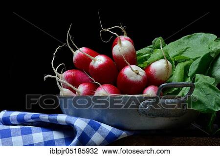 Stock Image - Red-white Red Radish ( Raphanus sativus var. sativus) in a bowl. Fotosearch