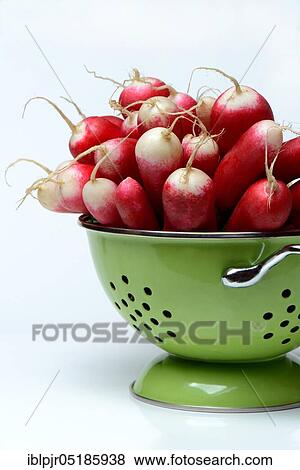 Stock Photo - Red-white Red Radish ( Raphanus sativus var. sativus) in sieve. Fotosearch