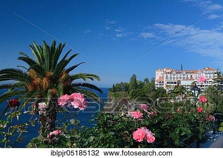Reid's Palace Hotel, luxury hotel in Funchal, Madeira, Portugal, Europe View Large Photo Image Stock Image - Reid's Palace Hotel, luxury hotel in Funchal, Madeira, Portugal, Europe. Fotosearch