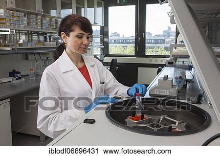 Research assistant at a centrifuge of the Faculty of Biology at the University of Duisburg-Essen during research work, Essen, North Rhine-Westphalia, Germany, Europe View Large Photo Image Stock Image - Research assistant at a centrifuge of the Faculty of Biology at the University of Duisburg-Essen during research work, Essen, North Rhine-Westphalia, Germany, Europe. Fotosearch