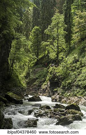 River Breitach and gorge Breitachklamm, Kleinwalsertal in Oberstdorf, Oberallgäu, Bavaria, Germany, Europe View Large Photo Image Stock Image - River Breitach and gorge Breitachklamm, Kleinwalsertal in Oberstdorf, Oberallgäu, Bavaria, Germany, Europe. Fotosearch