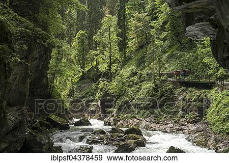 River Breitach and gorge Breitachklamm, Kleinwalsertal in Oberstdorf, Oberallgäu, Bavaria, Germany, Europe View Large Photo Image Stock Photo - River Breitach and gorge Breitachklamm, Kleinwalsertal in Oberstdorf, Oberallgäu, Bavaria, Germany, Europe. Fotosearch